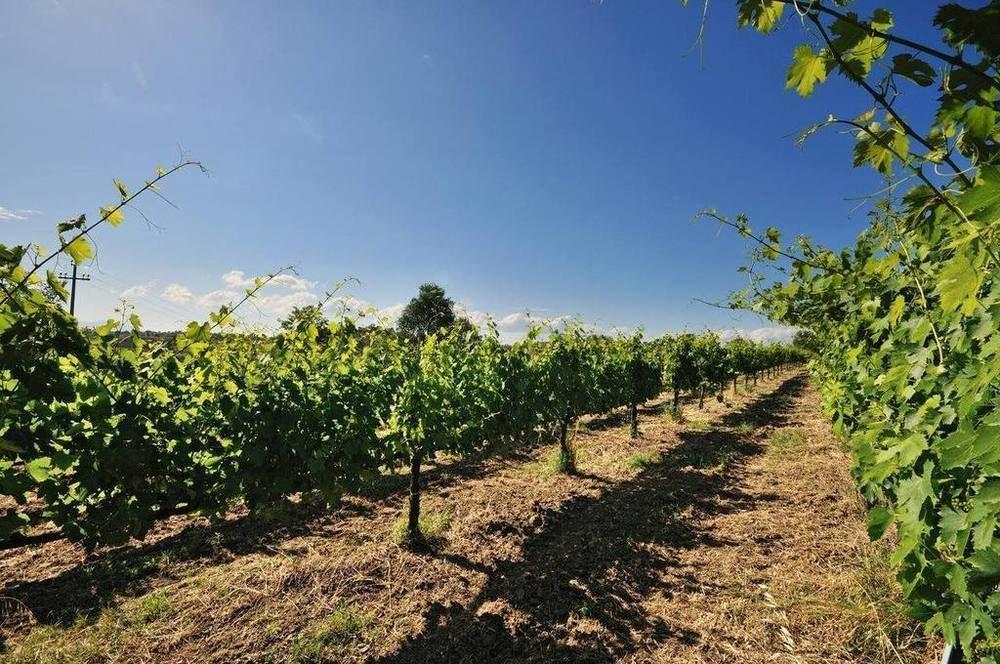 Montebuono  Agriturismo Casale Contessa מראה חיצוני תמונה